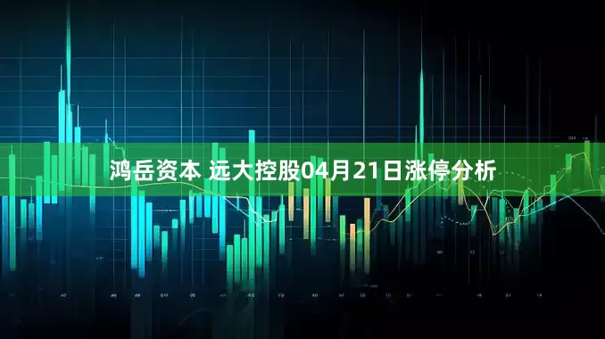 鸿岳资本 远大控股04月21日涨停分析