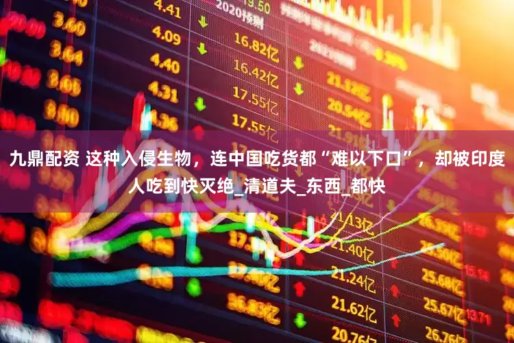 九鼎配资 这种入侵生物，连中国吃货都“难以下口”，却被印度人吃到快灭绝_清道夫_东西_都快