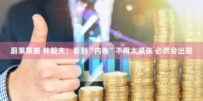 蔚莱策略 林毅夫：看到“内卷”不用太紧张 必然会出现